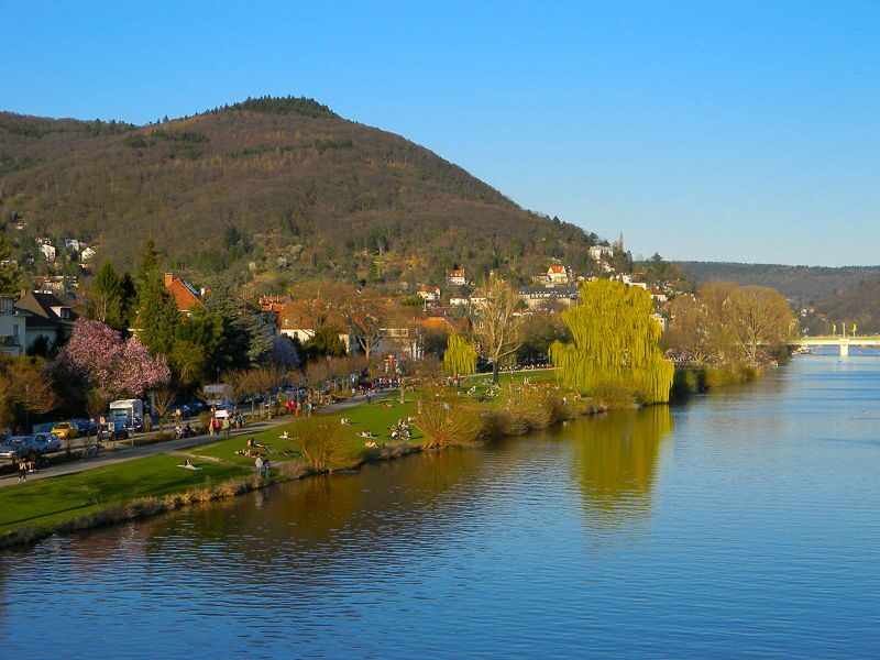 Heidelberg Castle Tour: Residence of the Electors - Key highlights at a glance