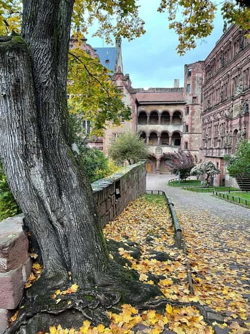 Heidelberg: Discover Heidelberg Castle – experience history up close - Up the Königstuhl: why the mountain railway ride matters