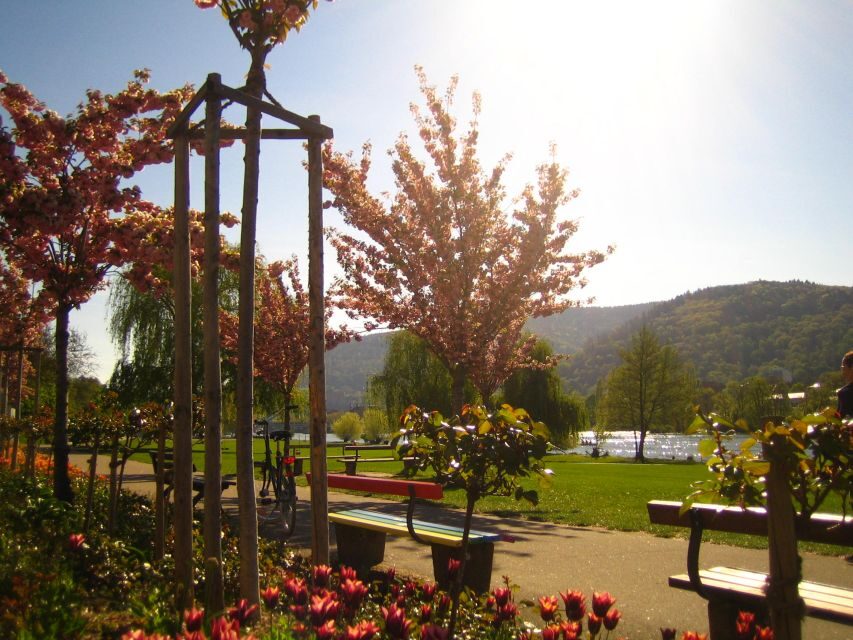 Heidelberg: Guided Bike Tour - Pace and comfort for a 150-minute guided ride