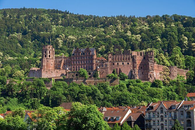 Heidelberg Heritage: Private Old Town and Castle Tour - Marktplatz and the medieval grid you can still feel