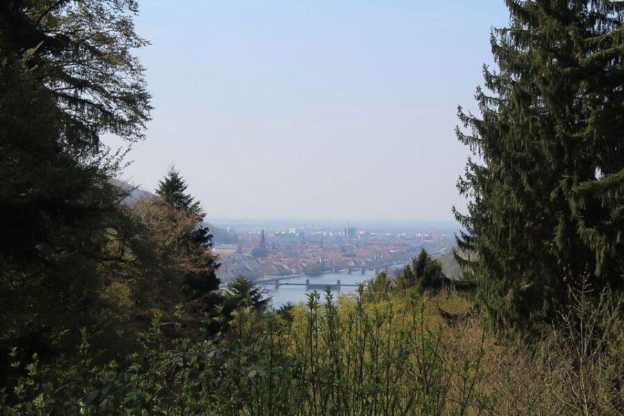 Heidelberg Highlights Segway Tour with Castle - Getting started at StadtSafari and the Neckarmünzplatz launch point
