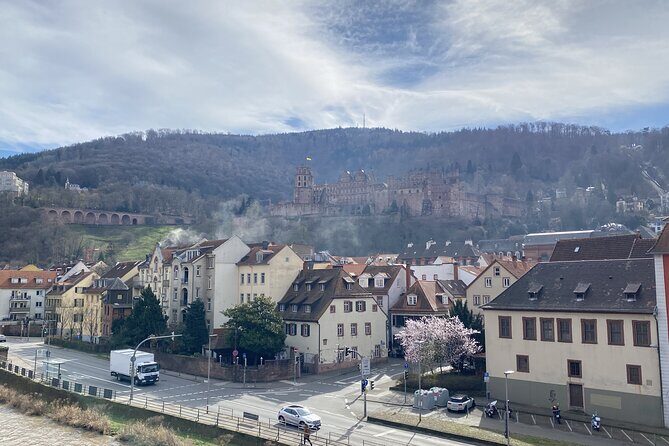 Heidelberg Old Town: Romantic Walking Tour & Game - Who Should Book This Heidelberg Old Town Game