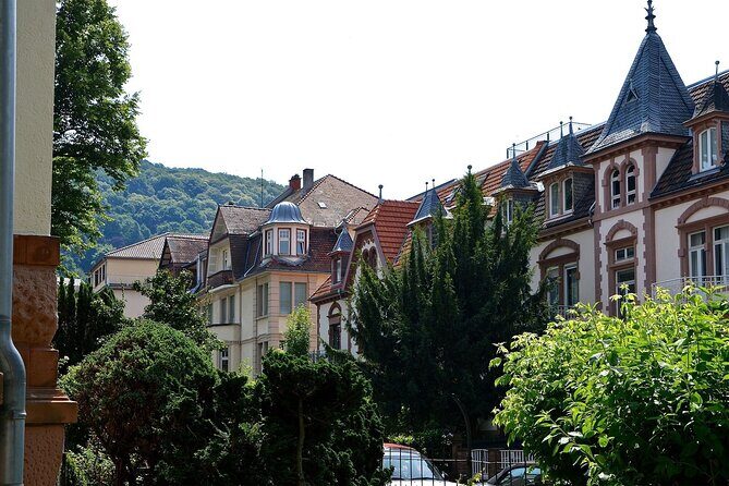 Heidelberg Private Walking Tour With A Professional Guide - Old Town streets, market squares, and the Church of the Holy Spirit