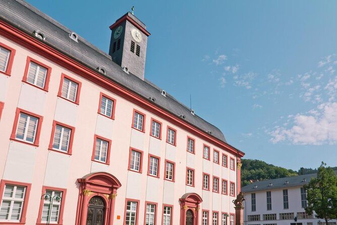 Heidelberg Public Walking Tour With A Professional Guide - Key things to know before you go
