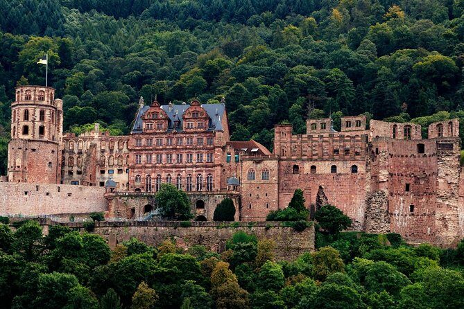 Heidelberg Public Walking Tour With A Professional Guide - Price and what you’re actually paying for
