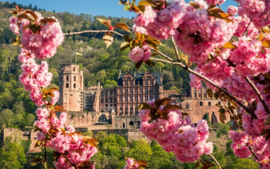 Heidelberg: Sightseeing Bus and Castle Tour - Key highlights that make this tour worth your time