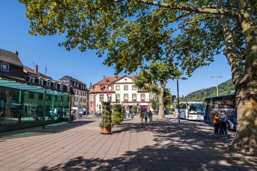 Heidelberg: Sightseeing Bus and Castle Tour - Why a 2-Hour Heidelberg Bus + Castle Combo Works