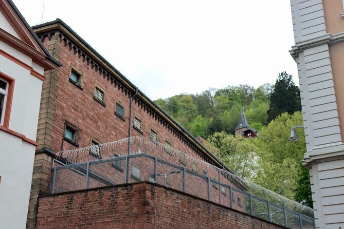 Heidelberg Walking Tour: Explore Top Sights & Hidden Gems - Price and value: $36 for 2 hours with real admission included