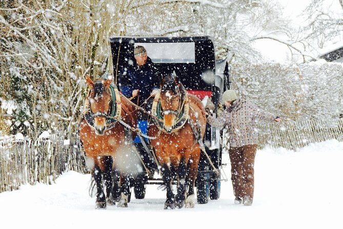 Horse Carriage Tour of Garmisch-Partenkirchen - A short walk in Partenkirchen that sets the scene