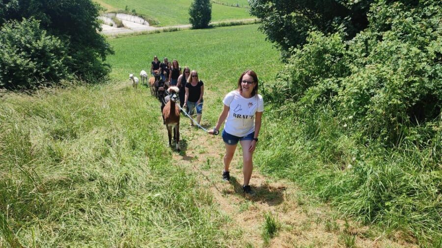 Jettingen-Scheppach: Alpaca hike through the Mindeltal - Arriving at the Farm Above the Mindeltal