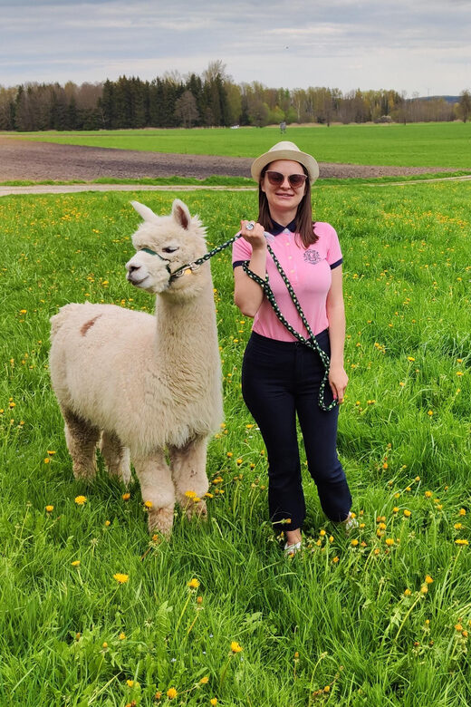 Jettingen-Scheppach: Alpaca hike through the Mindeltal - Choosing the Trail: Forest, Fields, and Seasonal Changes