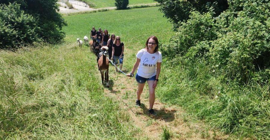 Jettingen-Scheppach: Alpaca hike through the Mindeltal - Should You Book This Alpaca Hike?