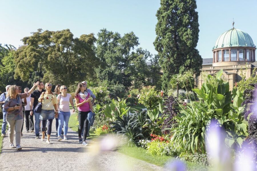 Karlsruhe: Guided City History & Culture Walking Tour - Quick highlights you’ll remember