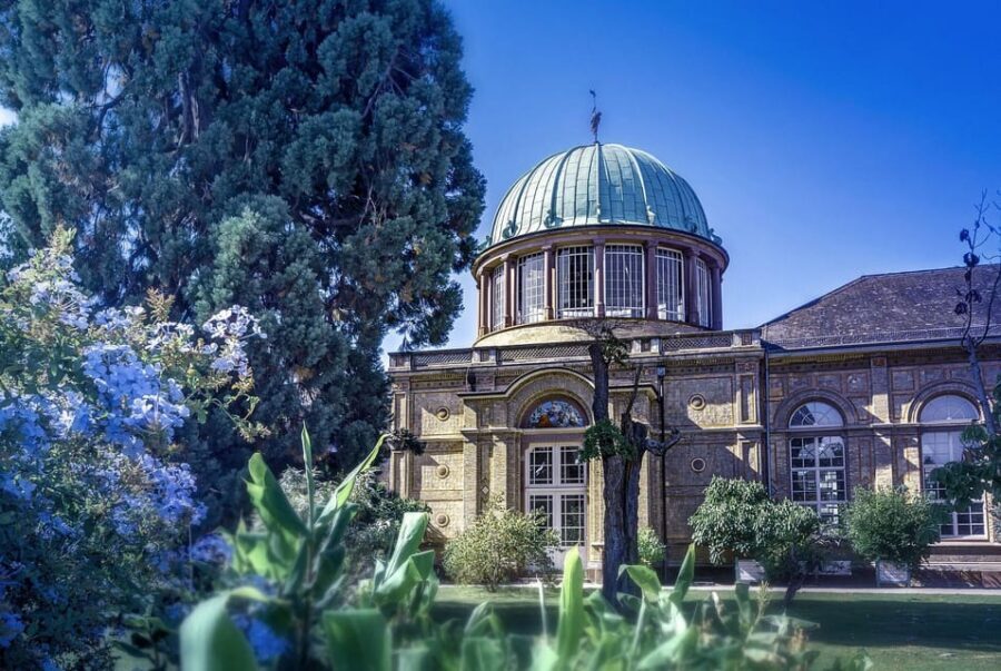 Karlsruhe Private Guided Walking Tour - Price and Value: What $294 per Group Buys You