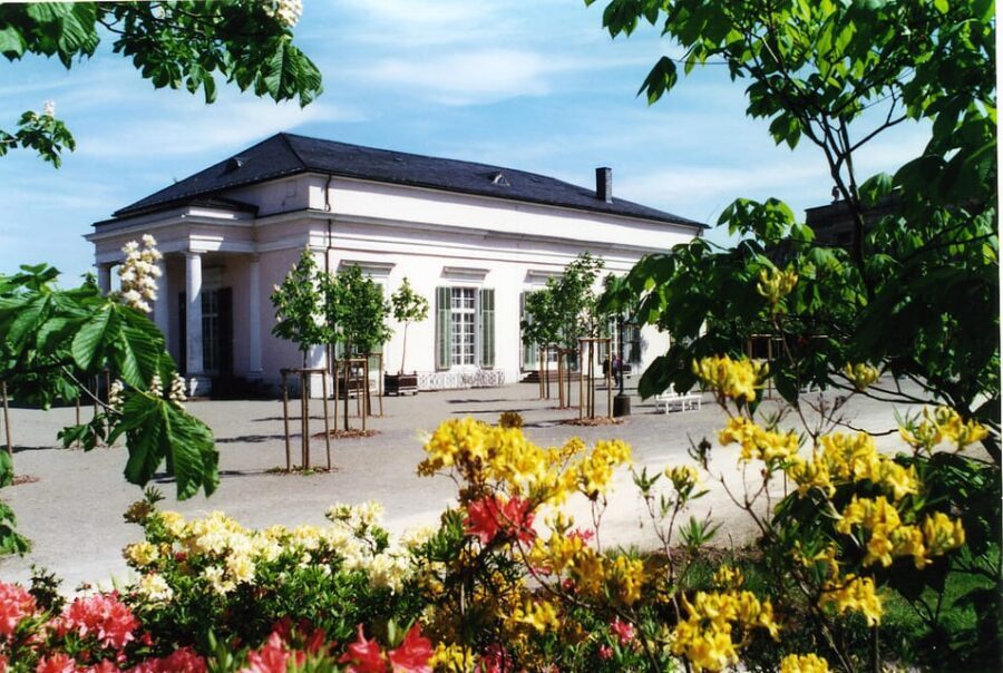 Kassel: Pure relaxation and world culture – guided tour of the Bergpark - Botanical treasures you’ll actually be able to notice