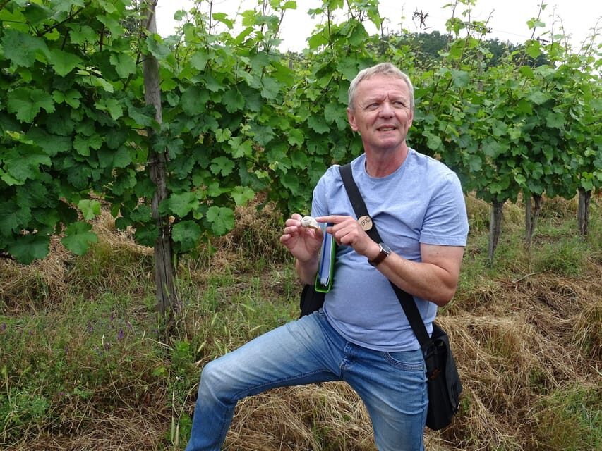 Koblenz: The Living Vineyard, Nature & Wine Enjoyment - Weingut Lunnebach: Riesling Slopes and a Secco Welcome
