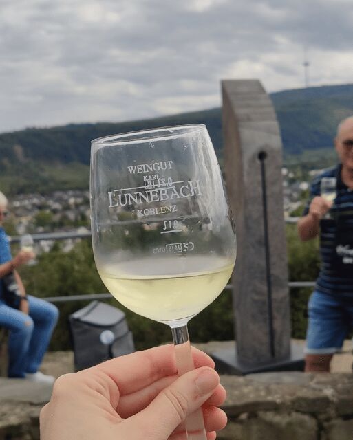 Koblenz: The Living Vineyard, Nature & Wine Enjoyment - The 3-Kilometer Vineyard Walk and Napoleon’s Path