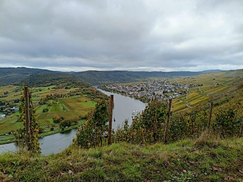 Kröv, Moselle: COVERED WAGON RIDE through the vineyards with wine tasting - The Vineyards, Viewpoints, and the Bread-and-Dip Reset