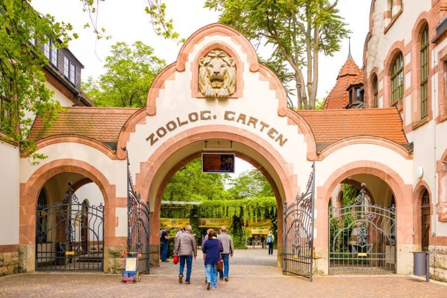 Leipzig: 1-Day Hop-On Hop-Off Bus and Leipzig Zoo Ticket - What’s not included (and how to plan around it)