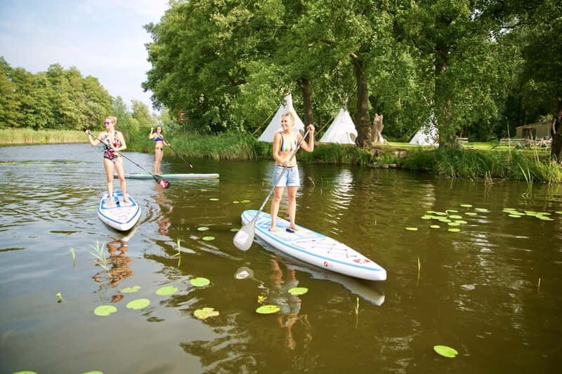 Leipzig: Cospudener Lake Stand-Up Paddleboard Course - Key highlights you’ll care about