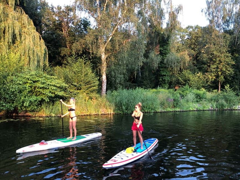 Leipzig: Cospudener Lake Stand-Up Paddleboard Course - Cospudener See by Leipzig: Why this lake session feels special