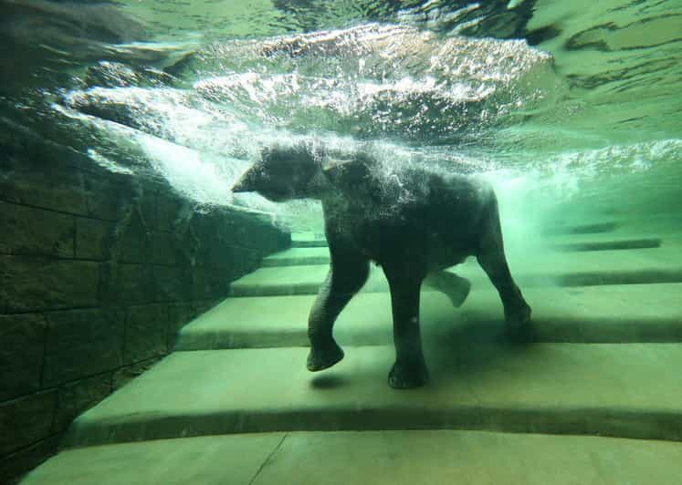 Leipzig Zoo: Entry Ticket - Gondwanaland: Europe’s largest indoor tropical rainforest