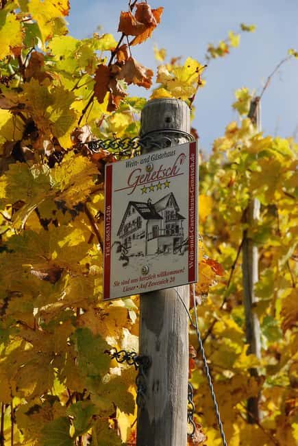 Lieser: Covered wagon ride, the rolling wine tasting with picnic basket - Practical Tips for a Smooth 3-Hour Experience