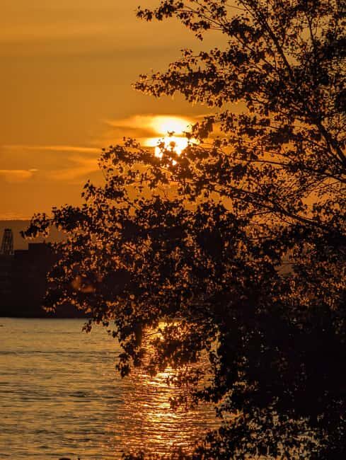 Mainz: guided evening tour of the Rhine riverbank/old town in German and English - Meeting on the Rhine at the Hilton: Start Easy, See the Bridge Fast