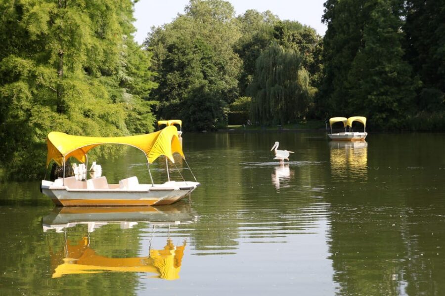 Mannheim, guided park tour: Luisenpark - Key things that make this tour worth it