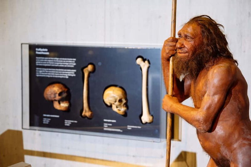 Mettmann: Neanderthal Museum Admission Ticket - Getting oriented at the Neanderthal Museum in Mettmann