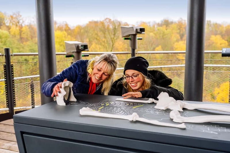 Mettmann: Neanderthal Museum Admission Ticket - Outdoor time: Stone Age Playground and Ice Age Animal Park