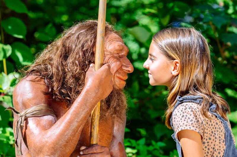 Mettmann: Neanderthal Museum Admission Ticket - The multimedia permanent exhibition: 4 million years, made clear