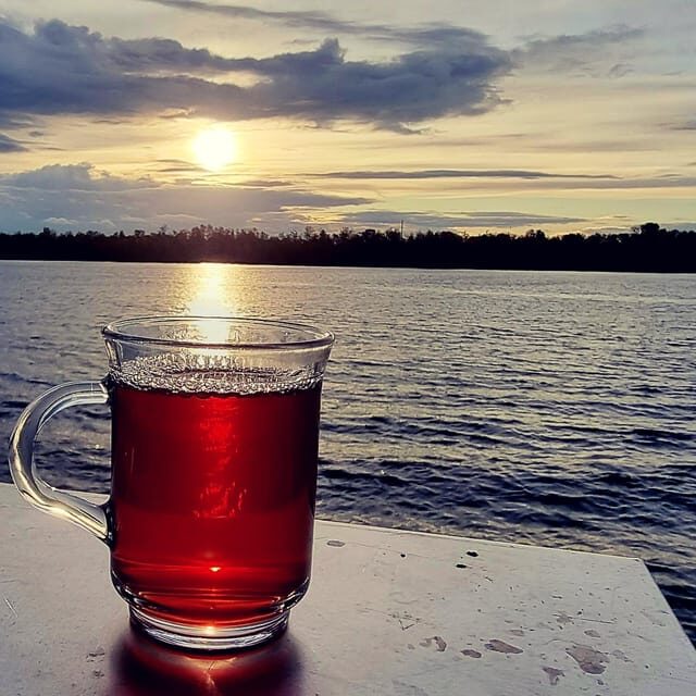 Mulled wine ride in the Leipzig New Zealand - Key Points That Matter Before You Go