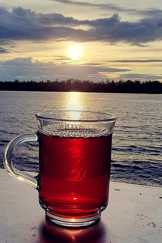 Mulled wine ride in the Leipzig New Zealand - Boarding the Ship: What You’ll Do Before You Float