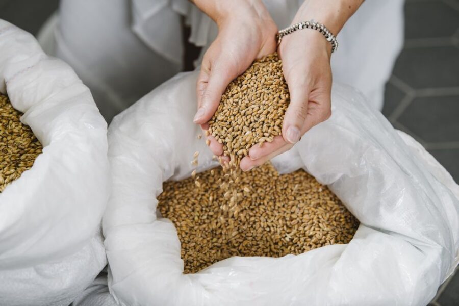 Munich: Hands-On Brewery Tour & Tasting of 4 Organic Beers - Munich’s first certified organic brewery: why it’s worth your time