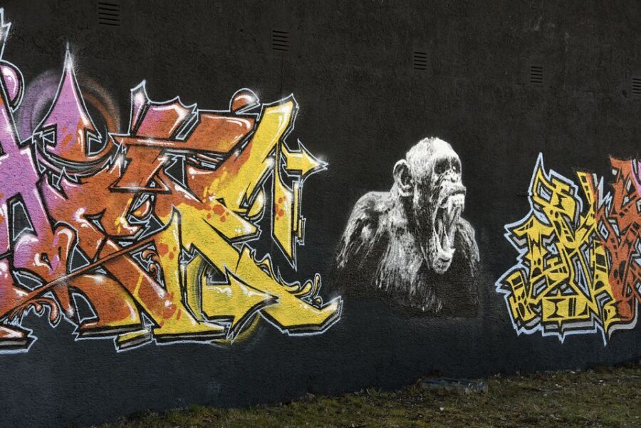 Munich: Street Art Bike Tour - Bikes, pace, and who this tour suits best