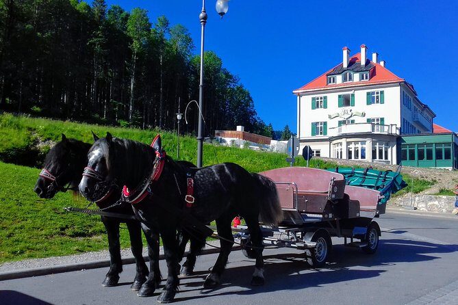 MY<em>GUiDE The King's GREATEST PALACES Neuschwanstein & HERRENCHIEMSEE from Munich – Neuschwanstein: Skip-the-Line, a Guided Interior, and the Reality Check of Stairs’ /><br />
Then you reach the big one: <strong>Neuschwanstein Castle</strong>. It’s described as a dream destination—and it really is one of Germany’s most visited castles. The tour starts you off with <strong>guaranteed skip-the-line tickets</strong> included, even with short notice.</p>
<p><p>Inside, you get a <strong>35-minute castle tour</strong> showing Ludwig’s completed living quarters. After that, there’s a <strong>15-minute walk to the exit</strong> where you pass through an unfinished floor area and then see details like the castle’s <strong>unusually modern kitchen</strong> and a planned bathroom.</p>
</p>
<p><p>Two things to know so you can plan your energy:</p>
</p>
<ul>
<li>Getting to Neuschwanstein involves walking from the parking/terminal area and the tour gives multiple distance-and-slope ranges depending on how you route it.</li>
<li>You’re told there are <strong>346 stairs in total (up and down)</strong> during the visit.</li>
</ul>
<p><p>If stairs are a deal-breaker, there’s a possible solution: with an appropriate medical certificate scanned and sent in advance, the tour can try to book an <strong>exclusive lift service</strong> for you (with <strong>one companion maximum</strong>). It’s stated that it’s without additional costs, but the availability is limited due to fire regulations and must be reconfirmed by the castle authorities.</p>
</p>
<p><p>For most people, the key is simply to plan for effort and not treat Neuschwanstein as a “casual stroll.” Shoes help. Pacing helps more.</p>
</p>
<h2 id="marienbrucke-viewpoint-the-photo-spot-with-wait-time-expectations">Marienbrücke Viewpoint: The Photo Spot, With Wait-Time Expectations</h2>
<p><img width="670" height="446" decoding="async" src=