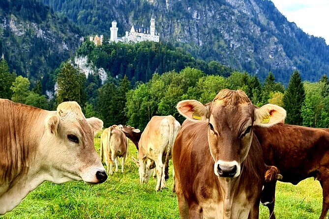Neuschwanstein Castle, Ettal Abbey and Oberammergau Private Tour from Munich - Ettal Abbey in 30 minutes: Baroque wow and Benedictine life
