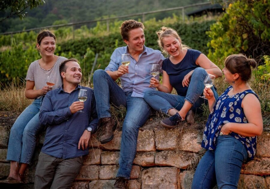 Neustadt: Wine tasting with cellar tour and vineyard visit - Key highlights you’ll care about