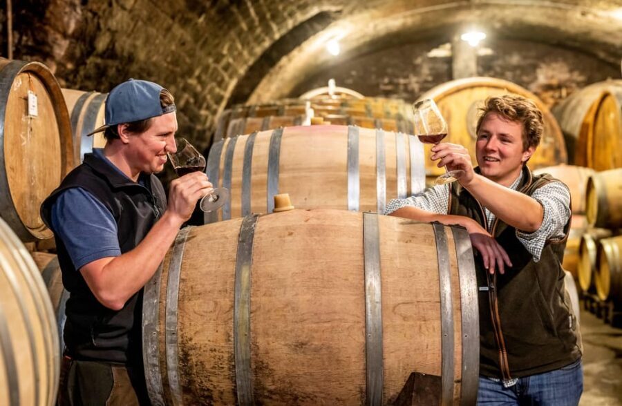Neustadt: Wine tasting with cellar tour and vineyard visit - Price and value: what $34 buys you here