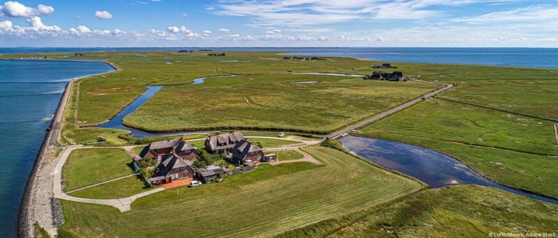Nordstrand: Daytrip by boat to Amrum - Getting on and off the boat: stairs, thresholds, and low-tide steps