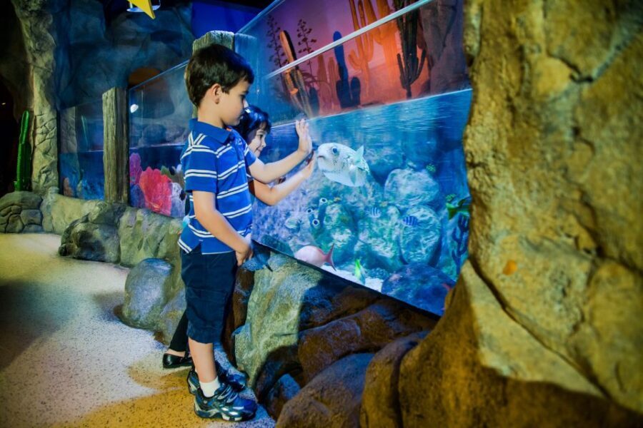 Oberhausen: LEGOLAND Discovery Centre and SEA LIFE Ticket - Key things to know before you go