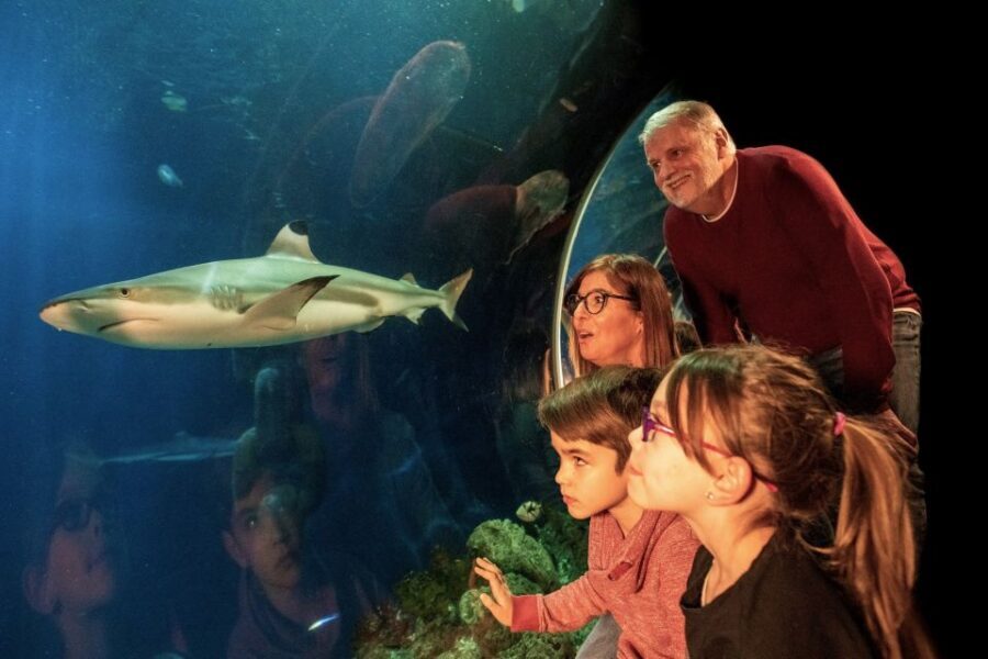 Oberhausen: LEGOLAND Discovery Centre and SEA LIFE Ticket - Aquarium zones from River Rhine to the Amazon