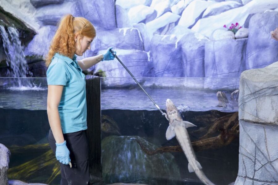 Oberhausen: LEGOLAND Discovery Centre and SEA LIFE Ticket - Price and value: is $38 per person worth it?