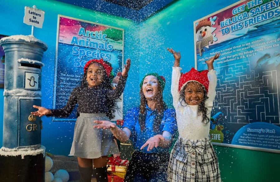 Oberhausen: SEA LIFE Oberhausen Entry Ticket - Key highlights worth timing your visit for