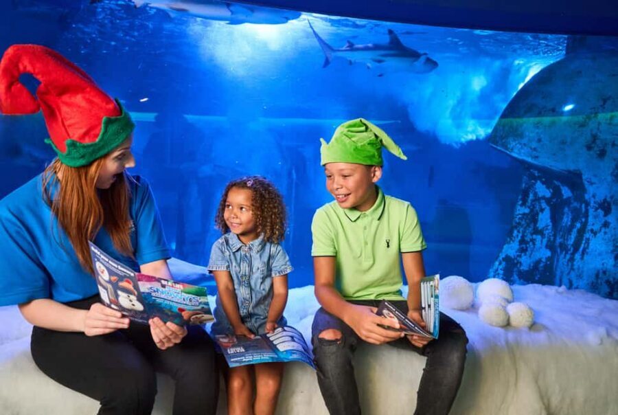 Oberhausen: SEA LIFE Oberhausen Entry Ticket - Tropical ocean zones: rays, jellyfish, piranhas, and seahorse-style charm