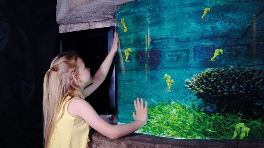 Oberhausen: SEA LIFE Oberhausen Entry Ticket - Great reef panoramas: hundreds of fish and coral viewing at eye level