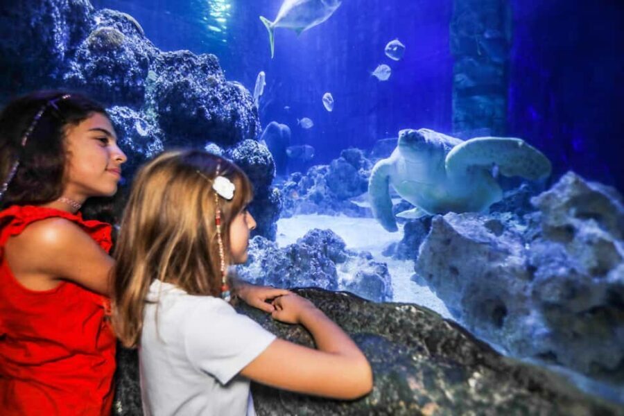 Oberhausen: SEA LIFE Oberhausen Entry Ticket - CentrO location: convenient access that saves your day