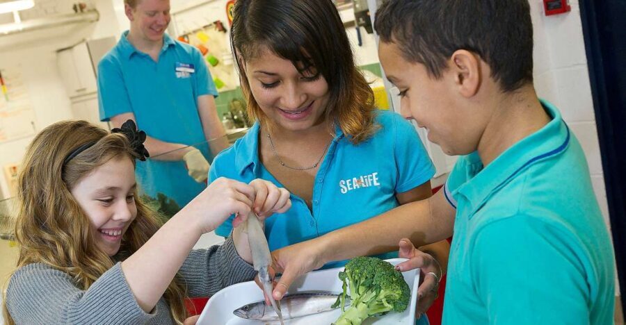 Oberhausen: SEA LIFE Ticket and Behind the Scenes Tour - A 90-minute plan that actually feels doable