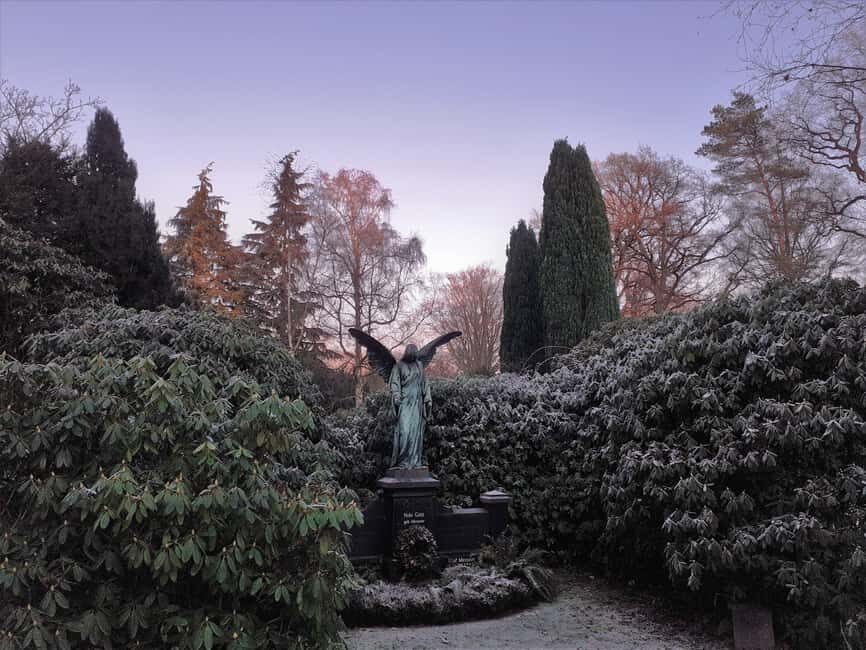 Ohlsdorf Cemetery: 1.5-hour individual guided tour - Optional themes: archaeology, botany, art, and nature conservation